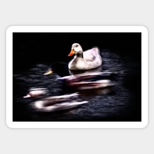 SITTING DUCK Sticker